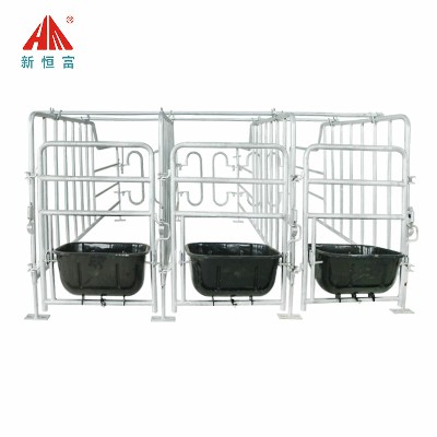 母（mǔ）豬限位欄