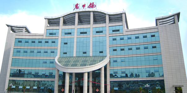 貴陽南明（míng）老幹媽食品有限責任公司