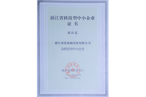 浙江省科技型中小企業證(zhèng)書 浙(zhè)江省科技型中小企業證書