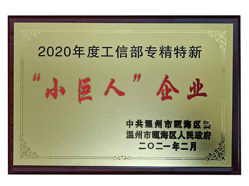 專精特新小巨人企業 專精特新小巨人(rén)企業